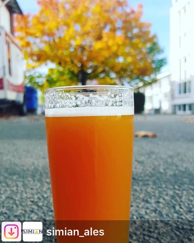 bunthaus's tweet photo. #Repost from @simian_ales. Our collab with #bunthausbrauerei "Hopp Kopp"  double ipa is ready.  8.5% of hazy,  hoppy goodness.  We will have it on tap on Friday at the Lübeck beer festival,  Bunthaus will have it on tap on the Saturday.  See you there!  … https://t.co/TUsMD7bUPp https://t.co/q44MG03dhH