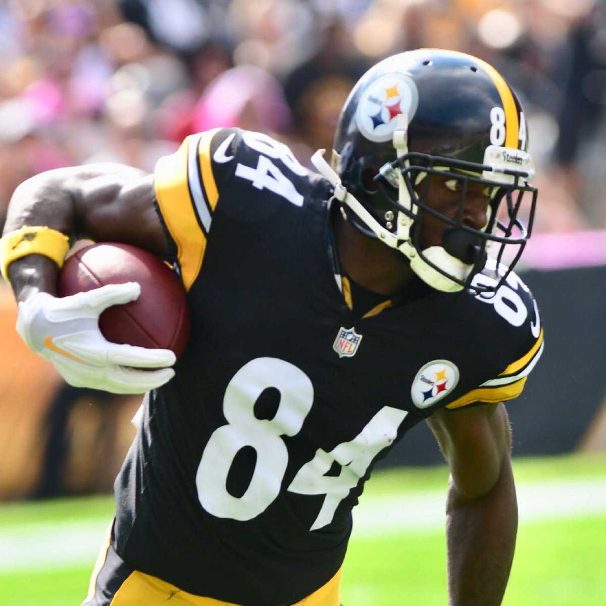 Black & Gold Today tweet media