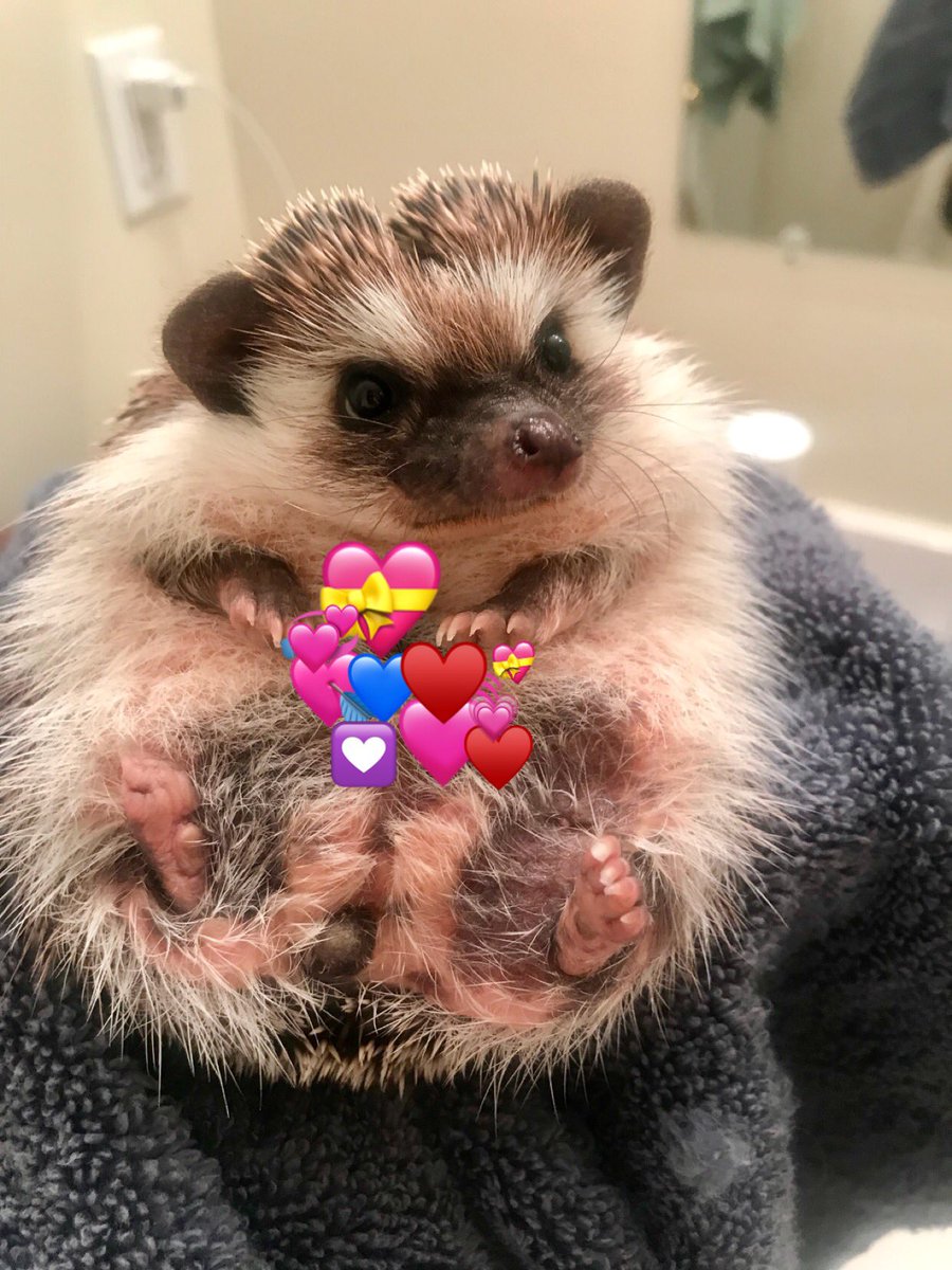 OfficialPumpky's tweet photo. when my friend is sad https://t.co/eNSHR7AkJv