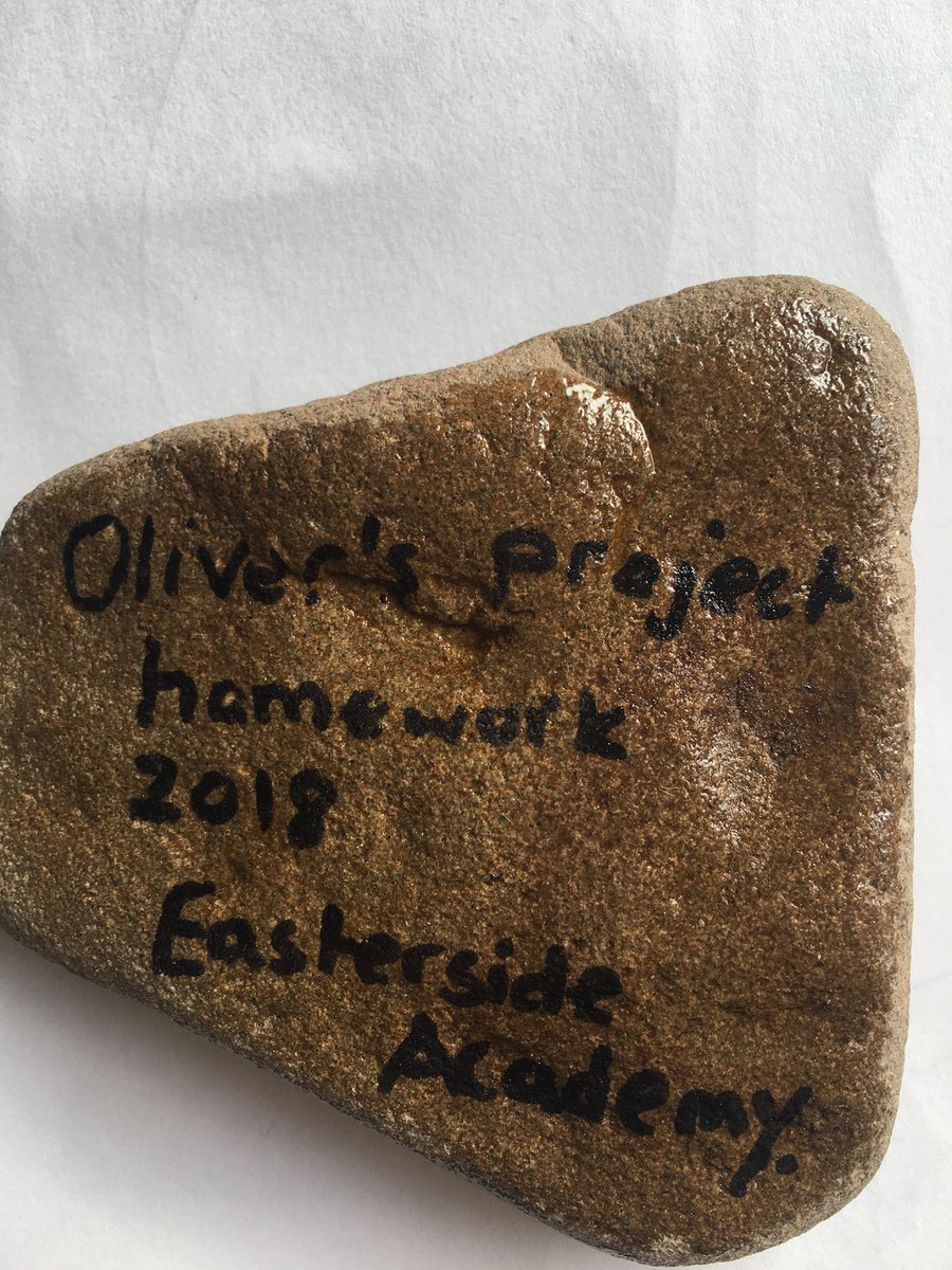 SarahWarren82's tweet photo. @easterside_a Oliver didn’t make a paper mâché rat for his topic homework he did a rock and hid it at Acklam Duck Pond! A family have found it already #teessiderocks https://t.co/8y16dQNK98