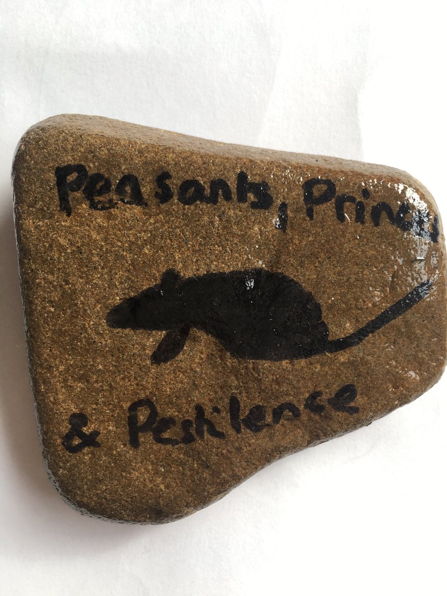 SarahWarren82's tweet photo. @easterside_a Oliver didn’t make a paper mâché rat for his topic homework he did a rock and hid it at Acklam Duck Pond! A family have found it already #teessiderocks https://t.co/8y16dQNK98