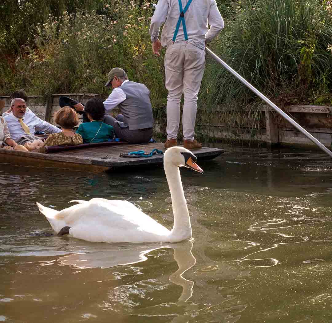 rutherfordpunts's tweet photo. A Swann
https://t.co/EfSGfzwvPf
#lovetotravel #photosofbritain #loveuk #exploreengland #topukphoto #lovegreatbritain #citybreak #photosofbritain #liveuk https://t.co/gG02H5fEtQ