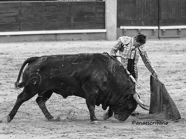 ana_anaes's tweet photo. URDIALES, LAS VENTAS 2018. https://t.co/i0FG60ebn8