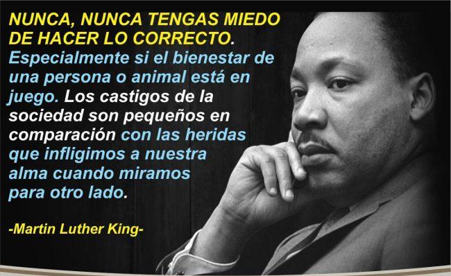 elisacarrio's tweet photo. Nunca tengas miedo de hacer lo correcto. https://t.co/jPMVh6ElVo