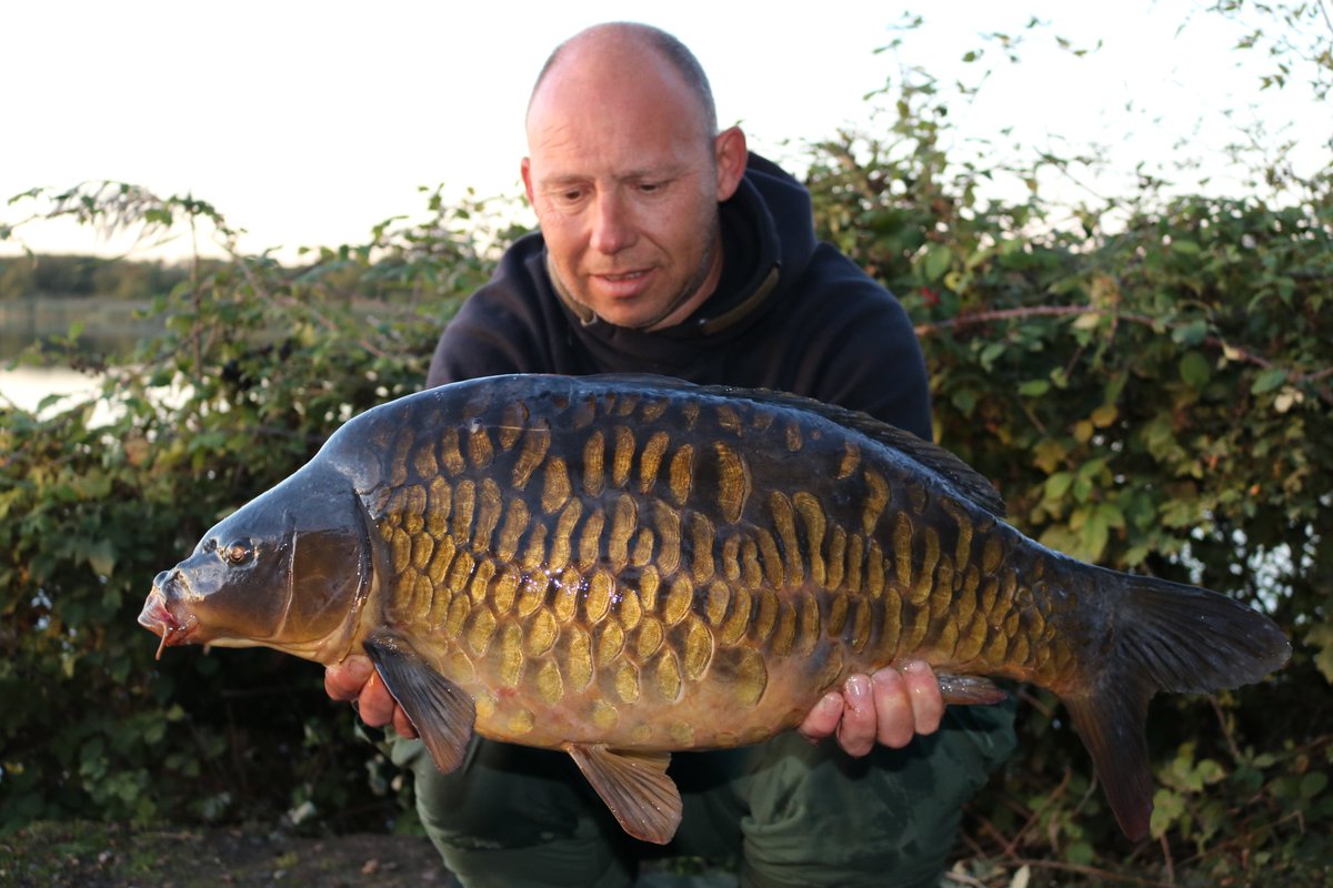ross_seamark's tweet photo. 20lb from last week caught on my 3rd night saved a blank https://t.co/nTmFdizofX