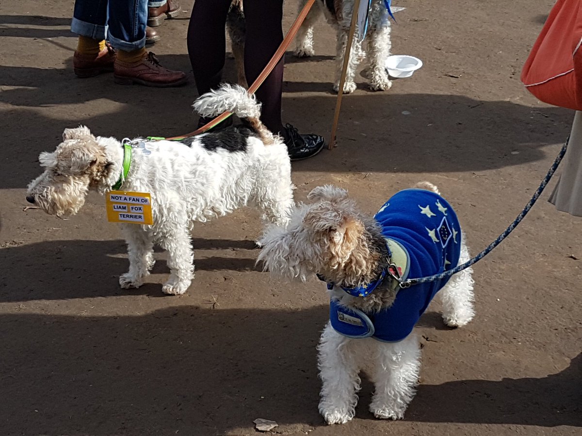 thomasbrake's tweet image. #Wooferendum  We have unleashed our secret weapon in the battle to secure a #PeoplesVote and a chance to #ExitFromBrexit