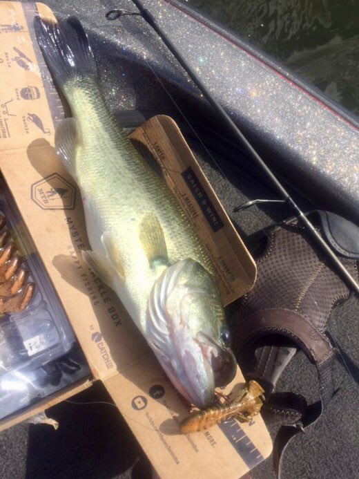 LisaJennings24's tweet photo. Best gift ever for my father-in-law! @MysteryTackleBx  Every month, we get a text that says “Christmas arrived today” and then a pic from Newton Lake. https://t.co/EwVcNWaBMe