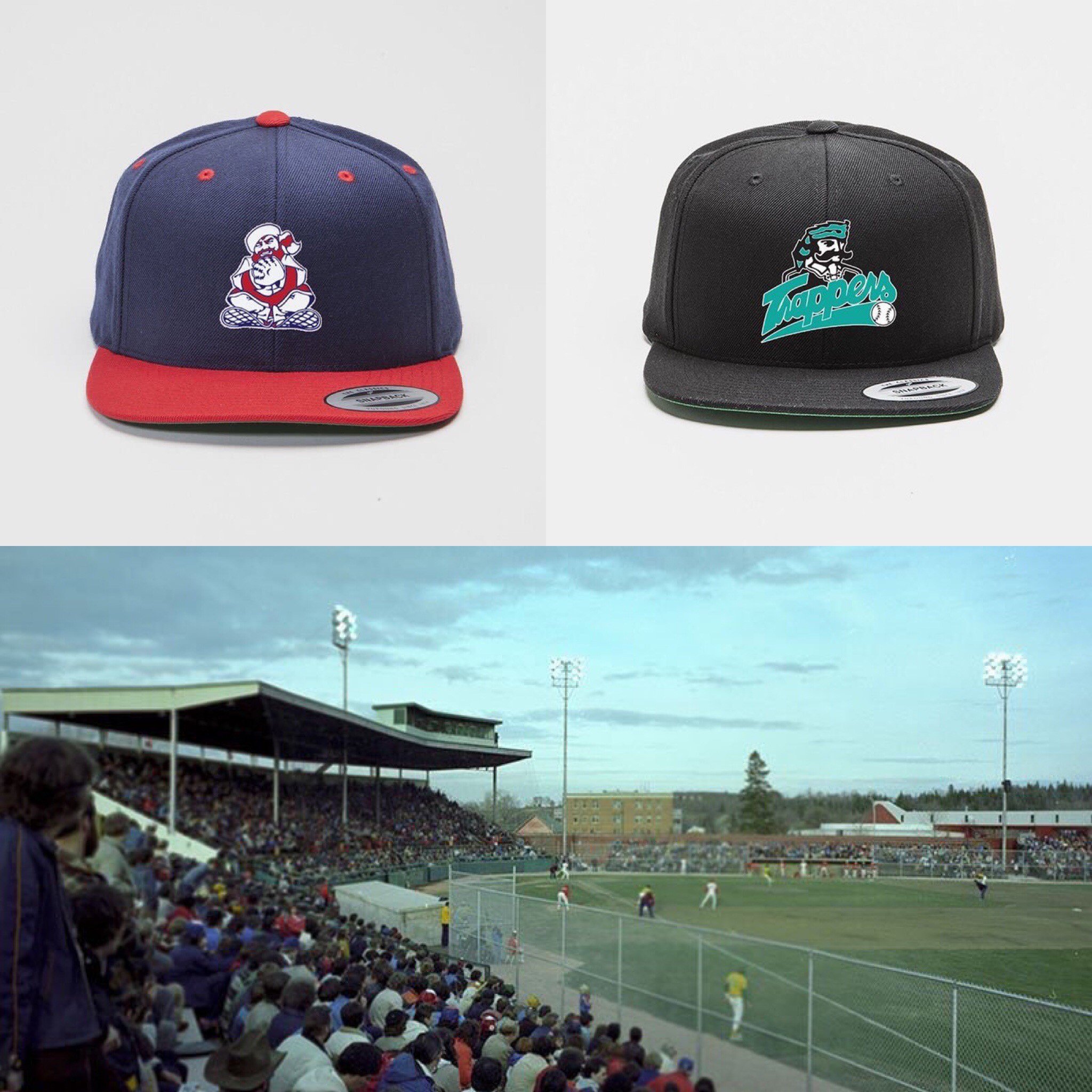 edmonton trappers hat