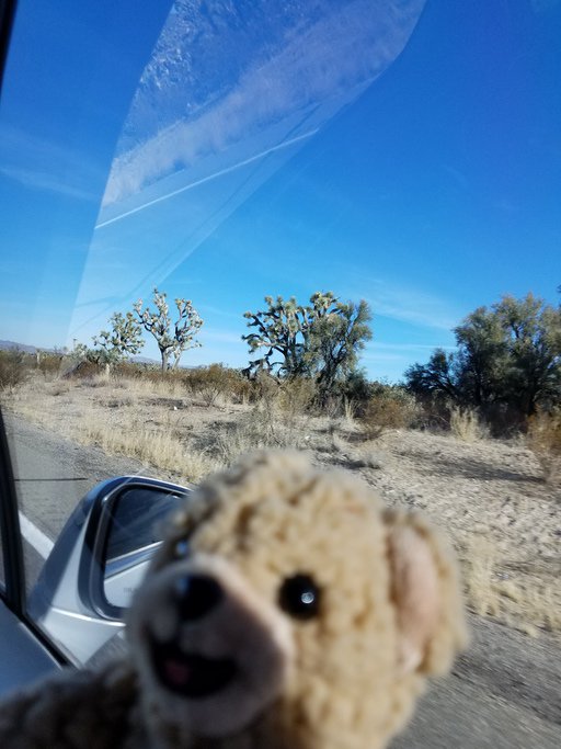 Jodi42's tweet image. On the open road with the top down. 
Enjoying #FuelPointsForDays #Ad #MyMagazineSharing mymagazinesharing.us