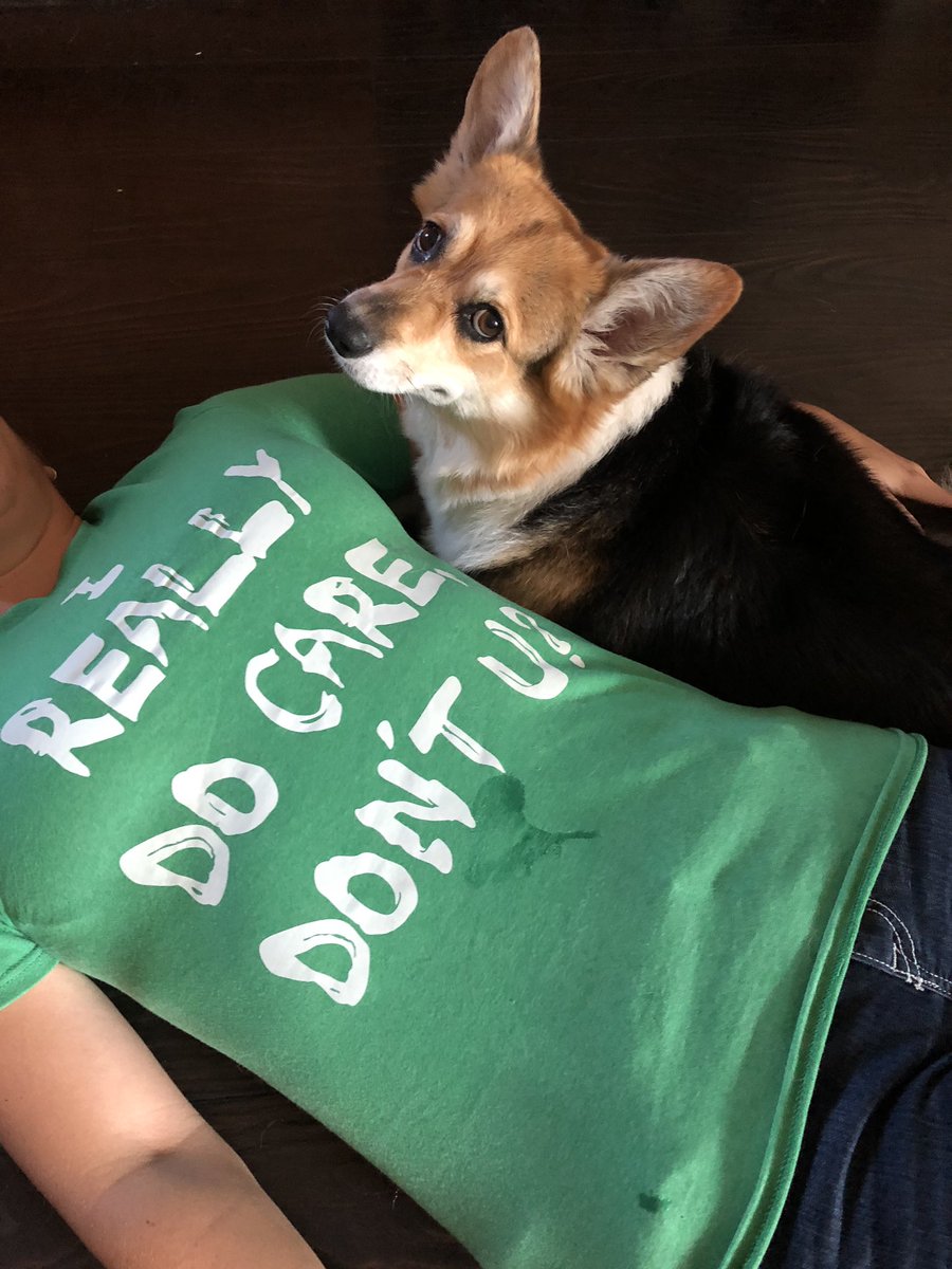 corgi_zero's tweet photo. I really DO care... why don’t you?
#StillOutraged #FuckKavanaugh #FuckSusanCollins #ByeDemocracy https://t.co/6StjRgFknS