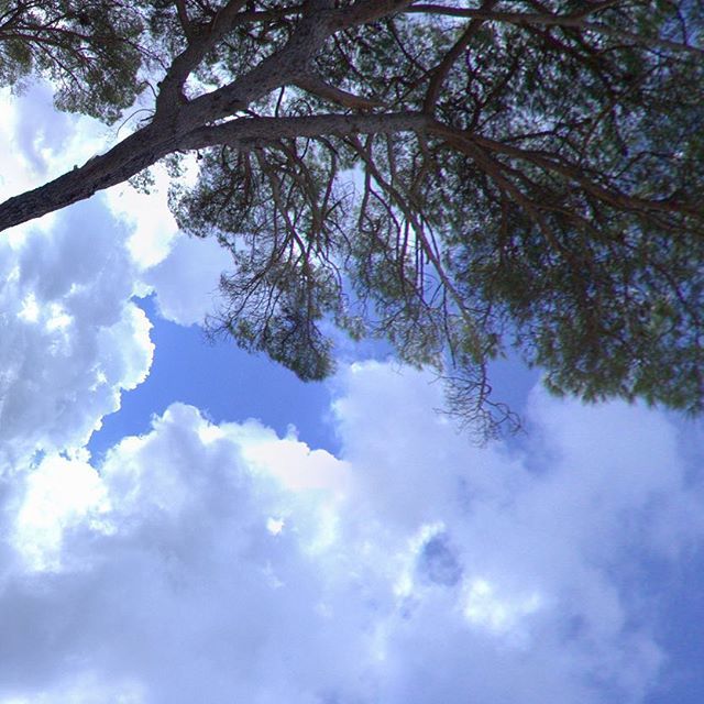 cipertre's tweet photo. ⇦ Click on My Profile icon for full view of “Walking with my Princess” Tiny Planet #maglie #franite #cipertre #vrphotography #3seizero #lifeisaroundyou #virtualreality #360panorama #360vr #tinyplanet #littleplanet #ivrpa https://t.co/CWq0iSFqL7 https://t.co/uPly7YhsiY