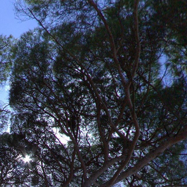 cipertre's tweet photo. ⇦ Click on My Profile icon for full view of “Walking with my Princess” Tiny Planet #maglie #franite #cipertre #vrphotography #3seizero #lifeisaroundyou #virtualreality #360panorama #360vr #tinyplanet #littleplanet #ivrpa https://t.co/rNixDPv4IN https://t.co/97xYQr9qWs