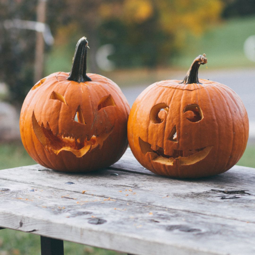 spfcanyon's tweet photo. Everyone is gearing up for Halloween! 

Do you decorate your home for Halloween? 

#fall #southdakota #spearfish #spearfishcanyon #spearfishsd #snowfall #snowmobile #spearfishcanyonlodge #blackhillsnationalforest #blackhills #blackhillsbadlands #lodge #utv #halloween https://t.co/UTws6KCfLE