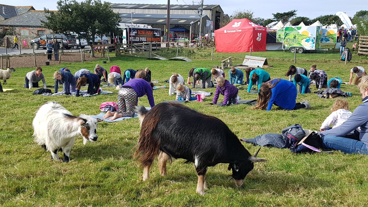 SimplySoulfulUK's tweet photo. Amazing day at #SWOF2018 @NTSouthDevon
Blessed with sunshine + almost-calm waters. Beautiful yoga attended by fun-loving outdoor yogis. Thanks to all yogis who popped by.
#GreetTheDayYoga #GoatYoga #SheepYoga #YogaNidra #SUPYoga #ThankTheDayYoga #EastSoarFarm #OutdoorLife https://t.co/vMR6dI04bZ