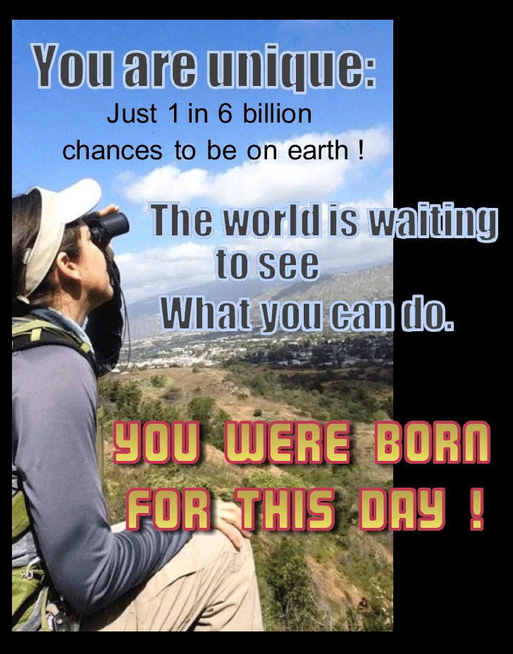 Bob Wieland (@bobwieland) on Twitter photo 