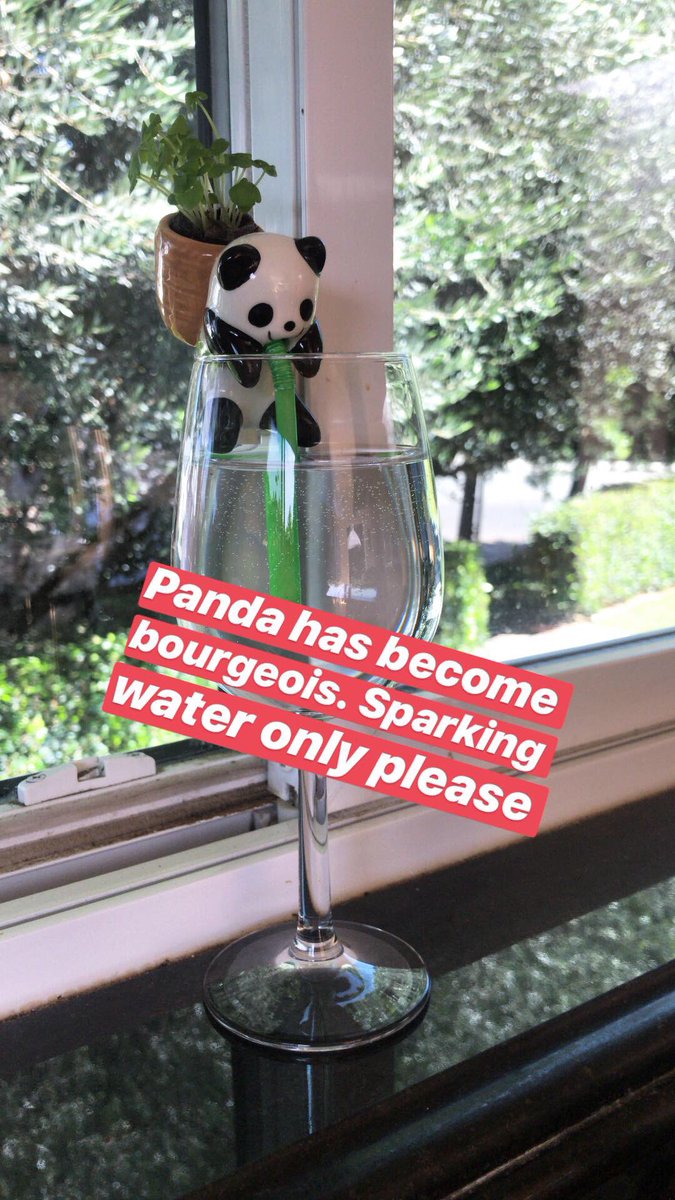 patkyeo's tweet image. #modelminoritymyth #bambooceiling #modelminority #sadandasian