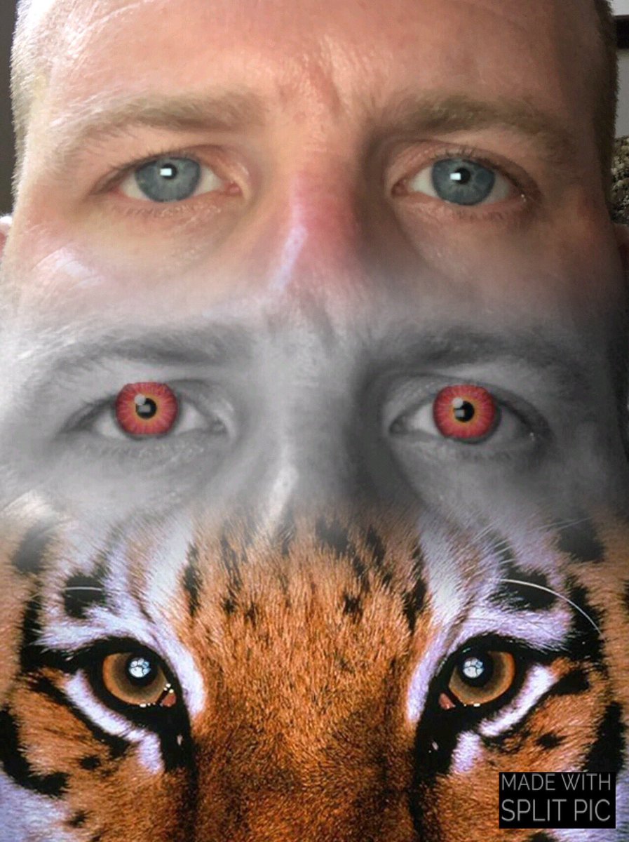 Tillyman57's tweet photo. Always a Tiger at heart! #GoTigers #PlayingWithApps #Freaky https://t.co/fLS0y7ZkHW