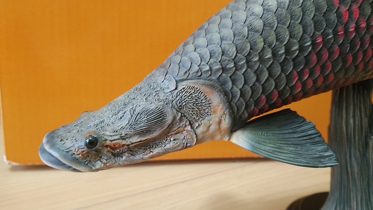 トリムスジャパン ピラルク 塗装済み完成品 原型製作 トリムスジャパン ピラルク 塗装済み完成品 原型製作 - メルカリ