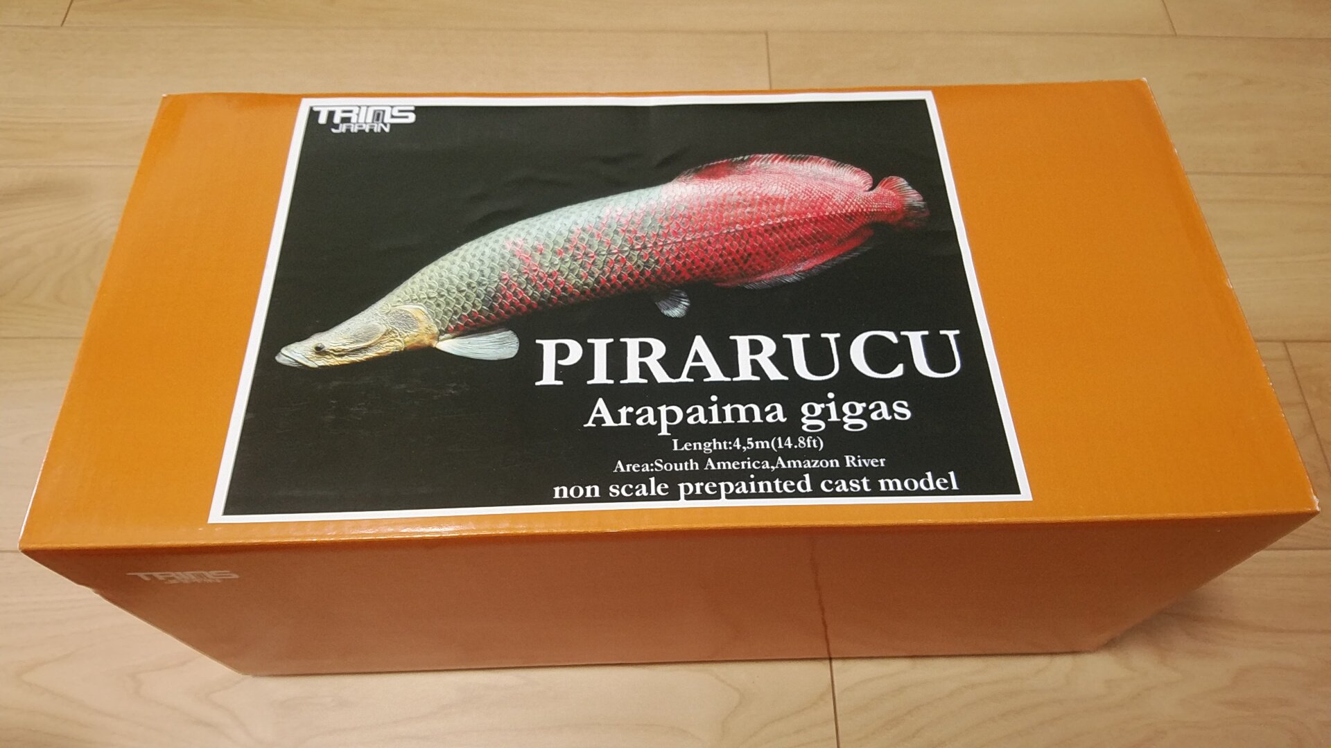 ピラルク トリムスジャパン