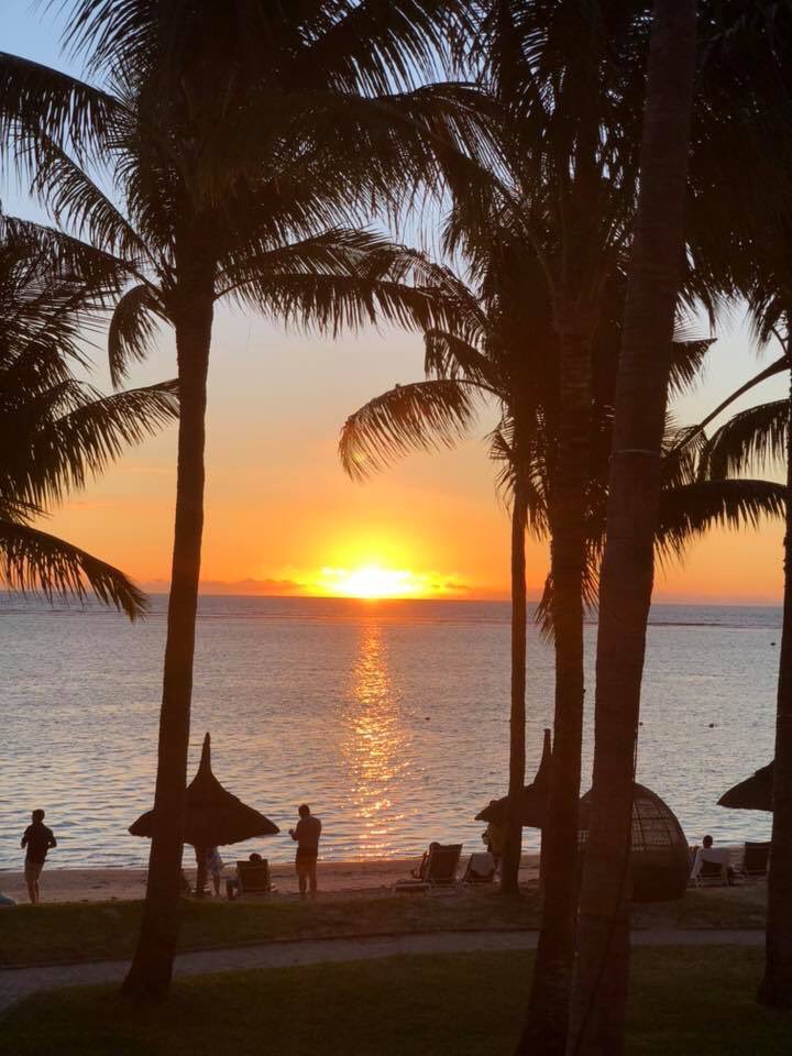 Andrew Mclean tweet media