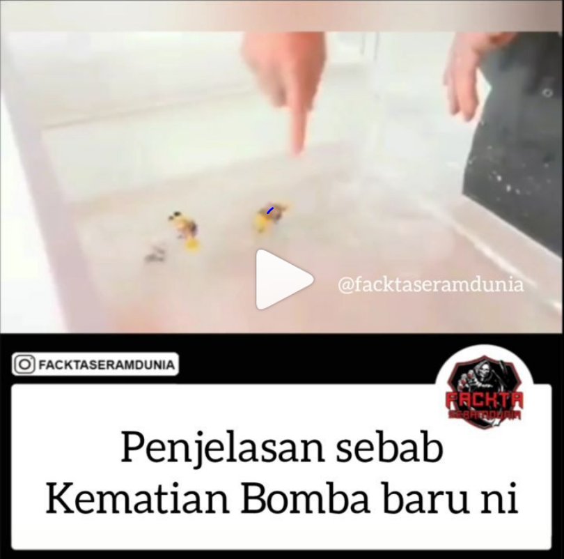 noi_wee's tweet photo. Ni la sebabnya. Seram beb berpusing dalam air.
#malaysia #visitmalaysia #exploremalaysia #cutimalaysia #malaysiaphotographer #malaysiabaharu #johor #kualalumpur #hantu #hantumalaysia #ghost #ghostmalaysia  #terbang #dukun https://t.co/gjyzjnUEs9