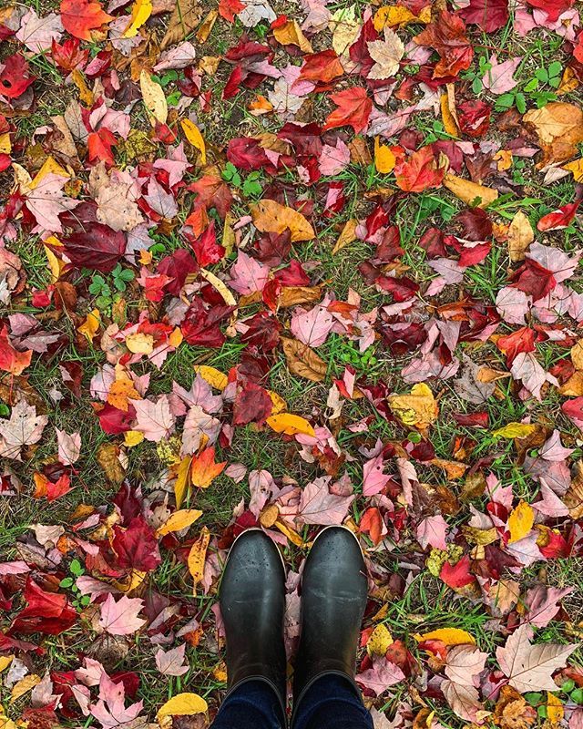 andreasmusings's tweet photo. #fromwhereistand Adirondacks - Upstate NY, Fall 2018.
•
Loving taking pictures with the new phone!
.
.
.
.
#fallcolors #fallleaves #adirondacks #travelblogger #lifestyleblogger #rainboots #sustainablefashion #mountainlife #enjoyingnature #creativemin… https://t.co/u1lIWbG3dX https://t.co/fHqewyURf4