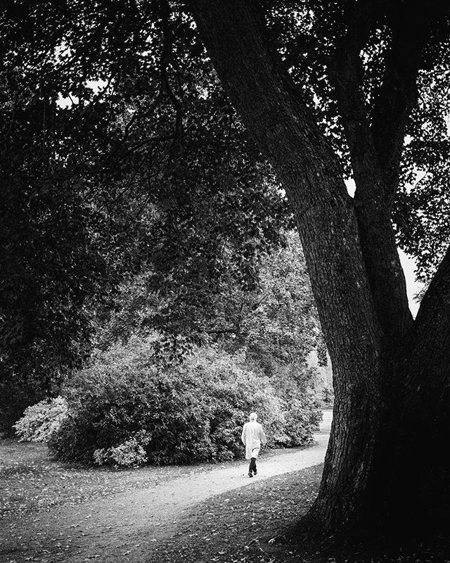 joeriksson's tweet photo. Djurgården at Kelby Worldwide Photowalk 2018 in Stockholm 
#wwpw2018 #stockholm #stockholmmoments #mysthlm #ig_sweden #igersstockholm  #wanderlust #igswstockholm #fujixt1 #fujifilmxt1 #fujifilm_xseries #fujifeed #ilovestockholm #wu_sweden #visitstockholm… https://t.co/GwV2ojDAmW https://t.co/TY7YEUD60F