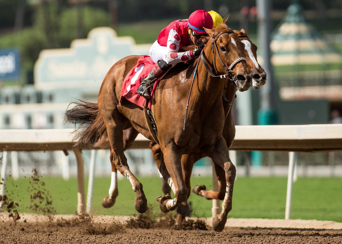 SAPublicity's tweet photo. Skye Diamonds and Tiago Pereira are victorious in thr Grade III $100,000 LA Woman Stakes for trainer Bill Spawr. (Order - #1/5/4/2) https://t.co/o9diwKrnNe