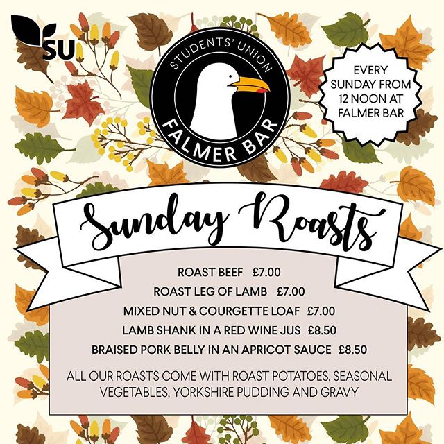 Falmer Bar tweet media