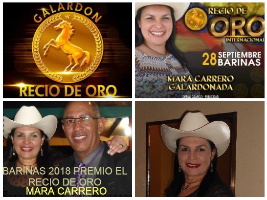 kilesmar's tweet photo. Artista galardonado presente en la gran entrega del galardón mas importante de nuestra música llanera #reciodeoro @Eneromar #kilesalsa🤠👢🐴🎶💯🇻🇪 https://t.co/EYrO4diLL7
