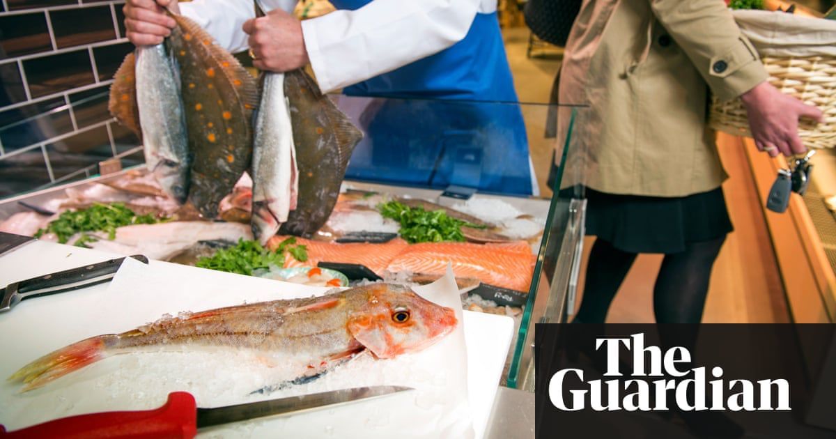 #SharkTracker Lager tweet media