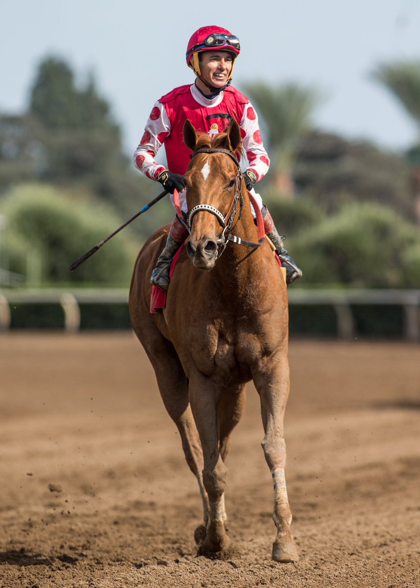 SAPublicity's tweet photo. Skye Diamonds and Tiago Pereira are victorious in thr Grade III $100,000 LA Woman Stakes for trainer Bill Spawr. (Order - #1/5/4/2) https://t.co/o9diwKrnNe