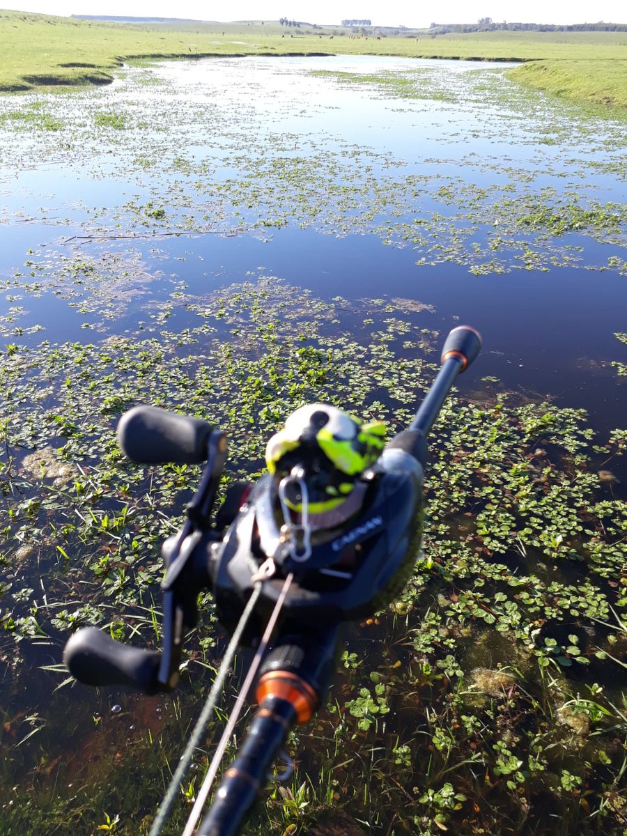 Javier  #PESCA+ (@zaidecano) on Twitter photo 