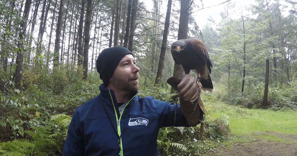 unlieshed's tweet photo. @Seahawks we’re cheering for you with Vega the Hawk @Islandraptors today in #Duncan BC! #GoHawks #WalkWithAHawk #ExploreBC #12North #12s #twelfie https://t.co/1mX8hwtdQ9