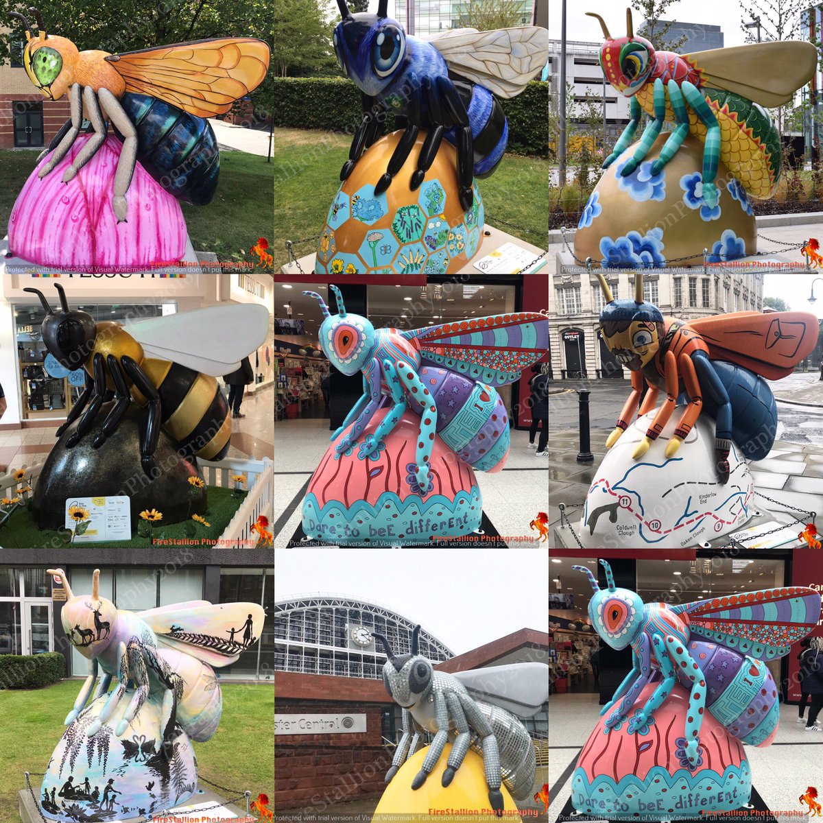 FireStallion666's tweet photo. #beeinthecity #beeinthecitymcr @beeinthecitymcr @Beersinthecity #beeyondexpectations #beeyoutiful #busybee #beejing #bluebeeter #bennythebee #blingbee #beedazzlebee #firestallionphotography @Mancislife https://t.co/wkn9xKvpQ9