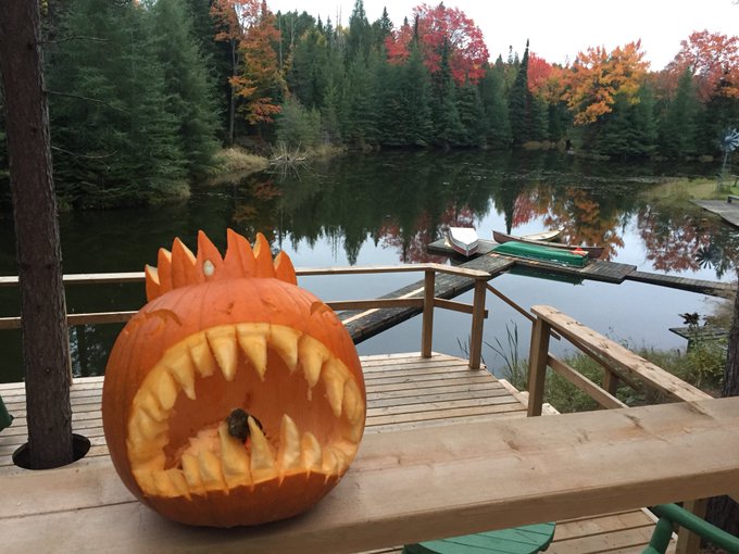 Family thanksgiving pumpkin carving contest. @inoublietta and co and myself carved &ldquo;Princess Dentata&rdquo;<a class="tags" target="_blank" title="On Twitter" href="/?out=eyJ0eXAiOiJKV1QiLCJhbGciOiJIUzUxMiJ9.eyJpYXQiOjE3MjE1ODUwMTcsImlzcyI6InR3cG9ybnN0YXJzLmNvbSIsIm5iZiI6MTcyMTU4NTAxNywiZXhwIjoxNzUzMTIxMDE3LCJyZWRpcmVjdF91cmwiOiJodHRwczovL3R3aXR0ZXIuY29tL2lub3VibGlldHRhIn0.zG4giUN3BD-1X9bFpfx6q4jRakX1bgfrepHb8Xl9zUhImRmAZpA8kbTeq5P8pbQHkWlTcgGMIAl4ahQTa1w9WA">@inoublietta</a><a href="/tag/impulseto"class="tags"><span>#impulseto</span></a>