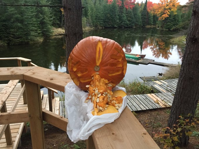 Family thanksgiving pumpkin carving contest. @inoublietta and co and myself carved &ldquo;Princess Dentata&rdquo;<a class="tags" target="_blank" title="On Twitter" href="/?out=eyJ0eXAiOiJKV1QiLCJhbGciOiJIUzUxMiJ9.eyJpYXQiOjE3MjE1ODUwMTcsImlzcyI6InR3cG9ybnN0YXJzLmNvbSIsIm5iZiI6MTcyMTU4NTAxNywiZXhwIjoxNzUzMTIxMDE3LCJyZWRpcmVjdF91cmwiOiJodHRwczovL3R3aXR0ZXIuY29tL2lub3VibGlldHRhIn0.zG4giUN3BD-1X9bFpfx6q4jRakX1bgfrepHb8Xl9zUhImRmAZpA8kbTeq5P8pbQHkWlTcgGMIAl4ahQTa1w9WA">@inoublietta</a><a href="/tag/impulseto"class="tags"><span>#impulseto</span></a>