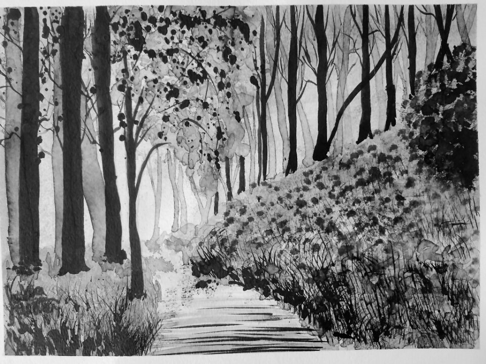 JRHvisualart's tweet photo. "Wonder Woods"
India Ink on Paper
9*12"
$45 https://t.co/zetwTg6hj0