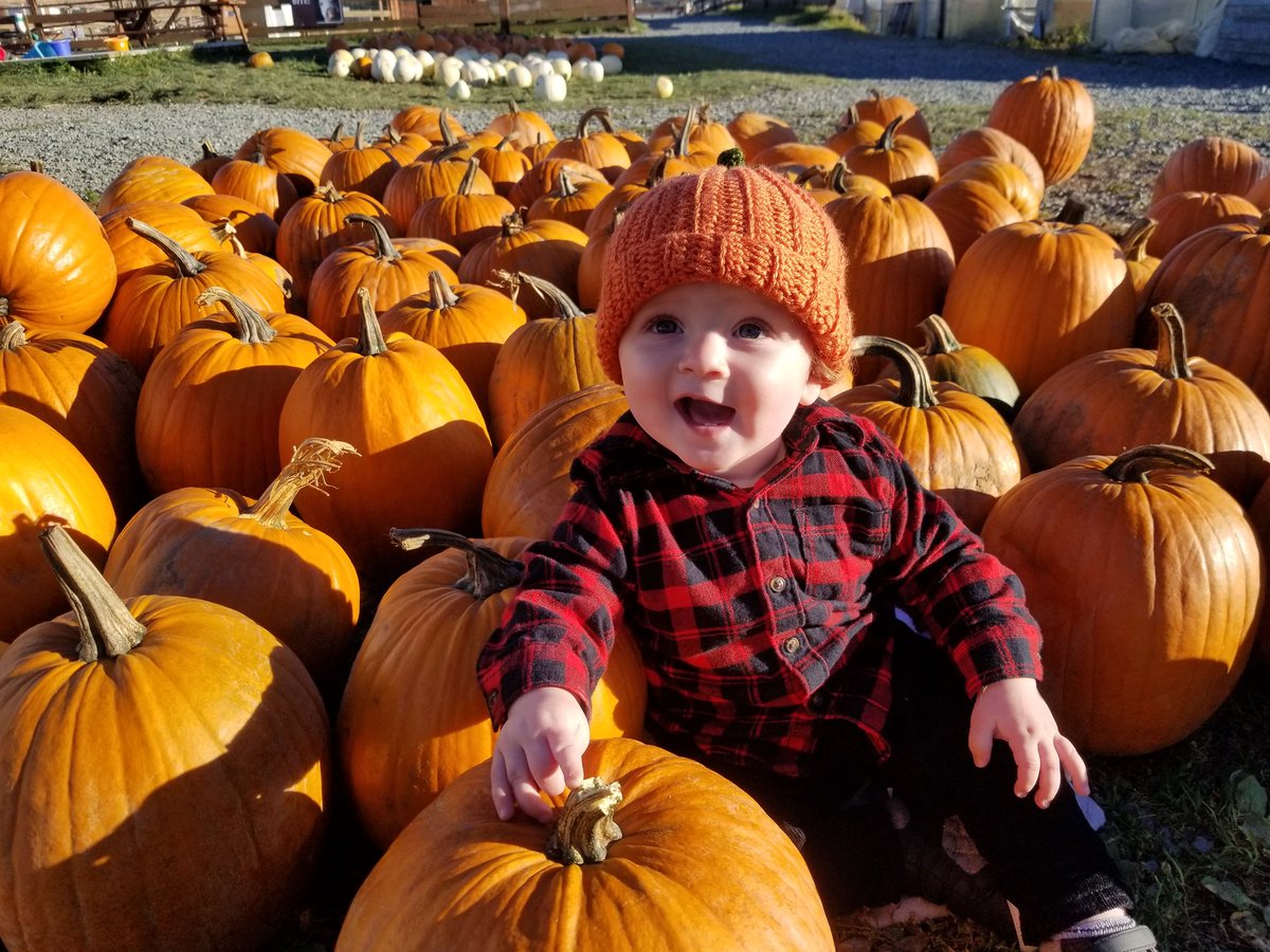 Adrianna_the_rd's tweet photo. So thankful for so many things but I am the most thankful for this little pumpkin @LFM_Susan #Thanksgiving #ThankfulForThis #pumpkinpatch https://t.co/MoVw9tfN8U