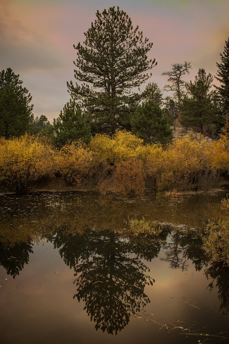 wyoming photo guy tweet media