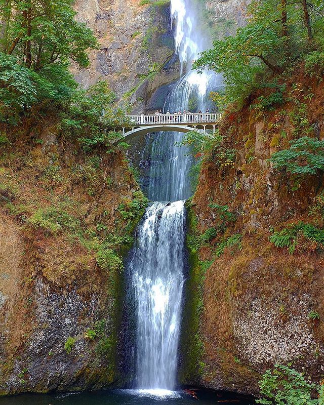yibaoAC's tweet photo. Multnomah Falls… #saltlife #staysalty #sealife #water_of_our_world #theglobewanderer #madeofocean #welivetoexplore #thewavecave #ic_water #roamtheplanet #travelphotography #visualoflife #beachlife #dametraveler #artofvisuals #islandhopping #flashesof… https://t.co/De1o9ofTMR https://t.co/fWAUbPZ7zm