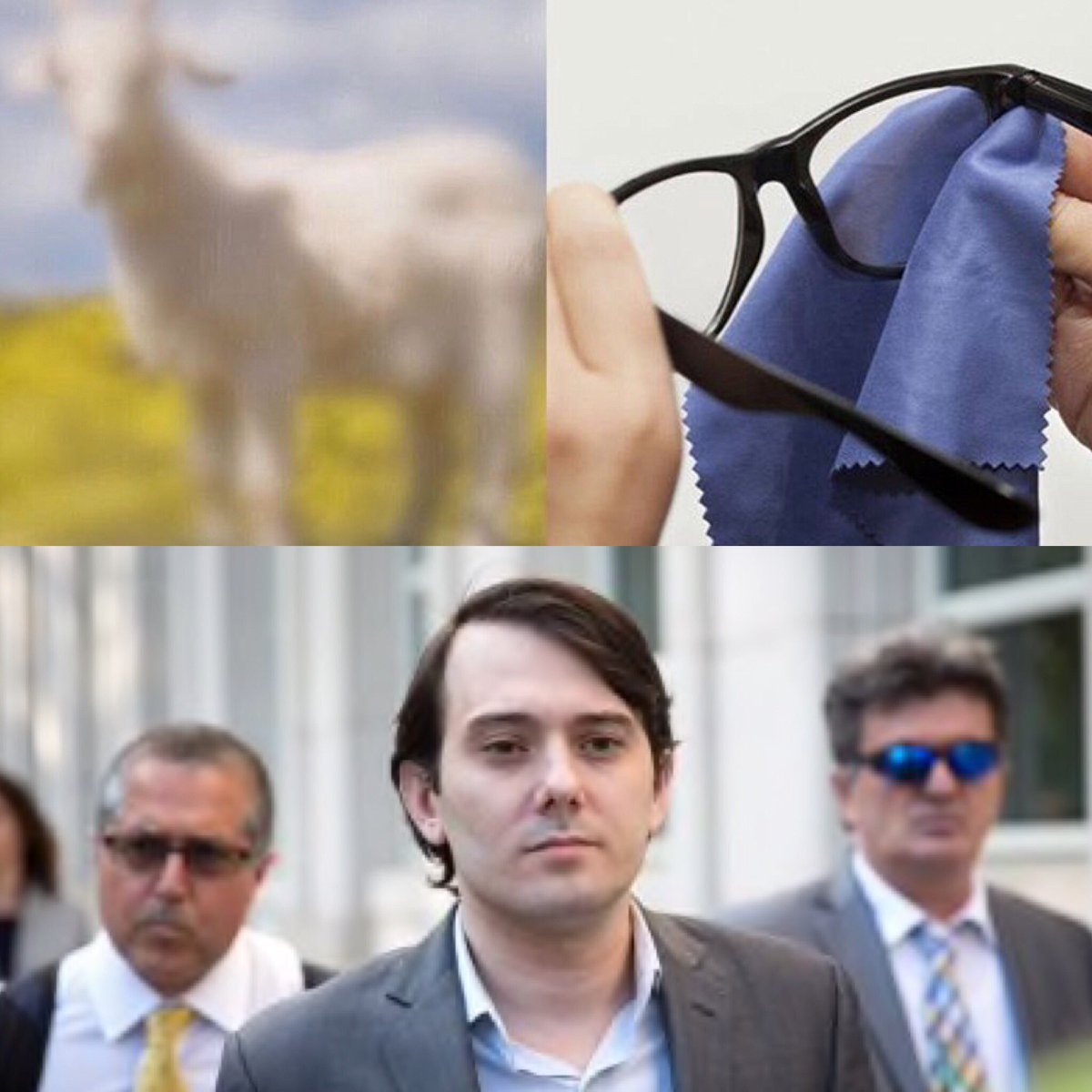 RampCapitalLLC's tweet photo. 🐐 https://t.co/a17dFl2nC6