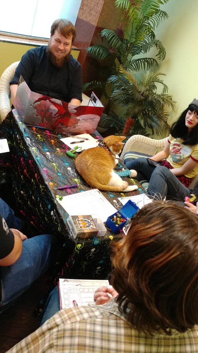 charmcatcafe's tweet photo. What's more adventuresome than D&amp;D? How about D&amp;D with Kitties?! https://t.co/DjLZoIL1Vs