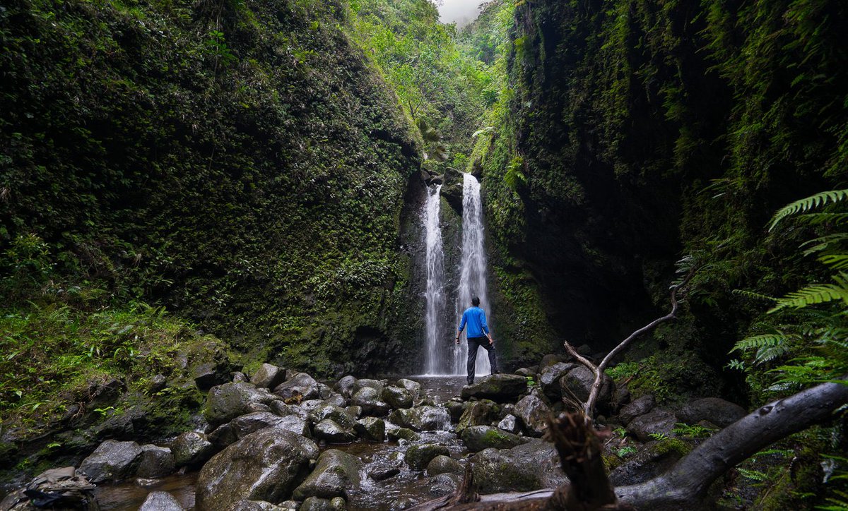 bookdirect's tweet photo. RT @OlaProperties: Seven Falls Hike follows a rocky stream through a narrow gorge. You will find yourself adventuring through wading water and clambering over rocks for the majority of the trail! #SevenFallsHike #HikingOnOahu #HikinginHawaii #OlaPropert… https://t.co/5WMySWB2PC
