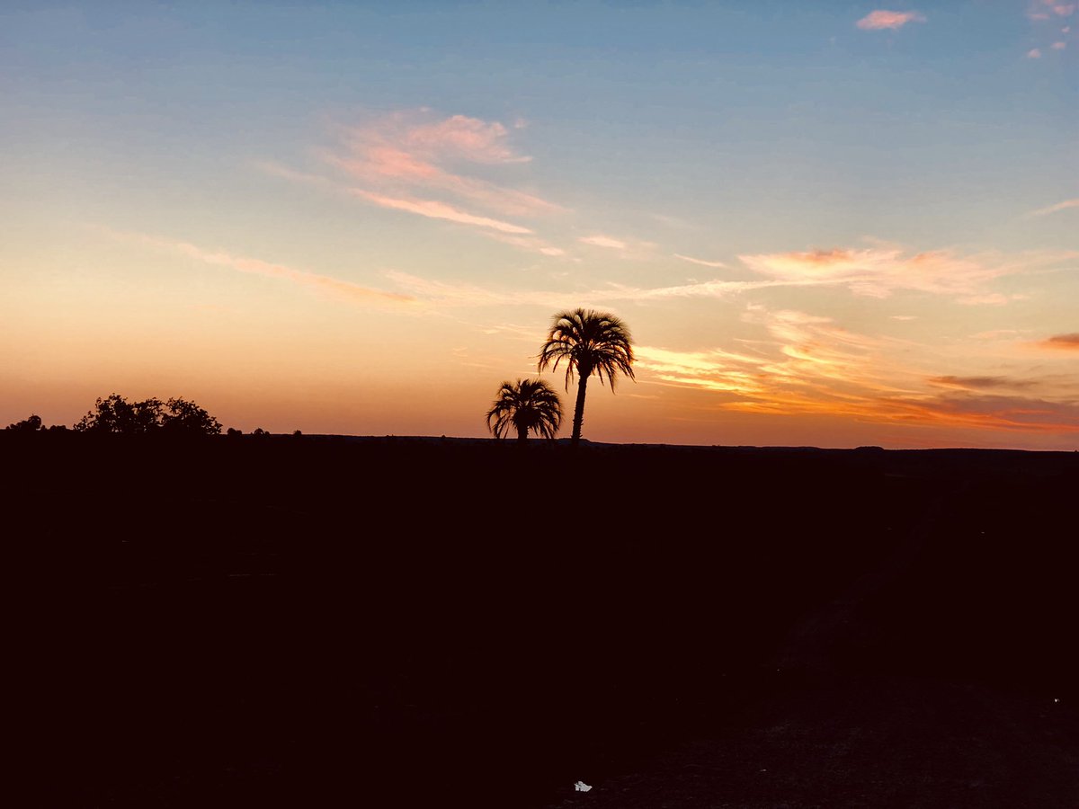 61_tonia's tweet photo. Atardecer en el medio del campo y con palmares de fondo #PintoFotografia #uruguaynatural  #uruguaypordentro @igersuruguay @PuntadelEsteS localidad Paso de los Mellizos , Río Negro https://t.co/mCFU4qCSOV