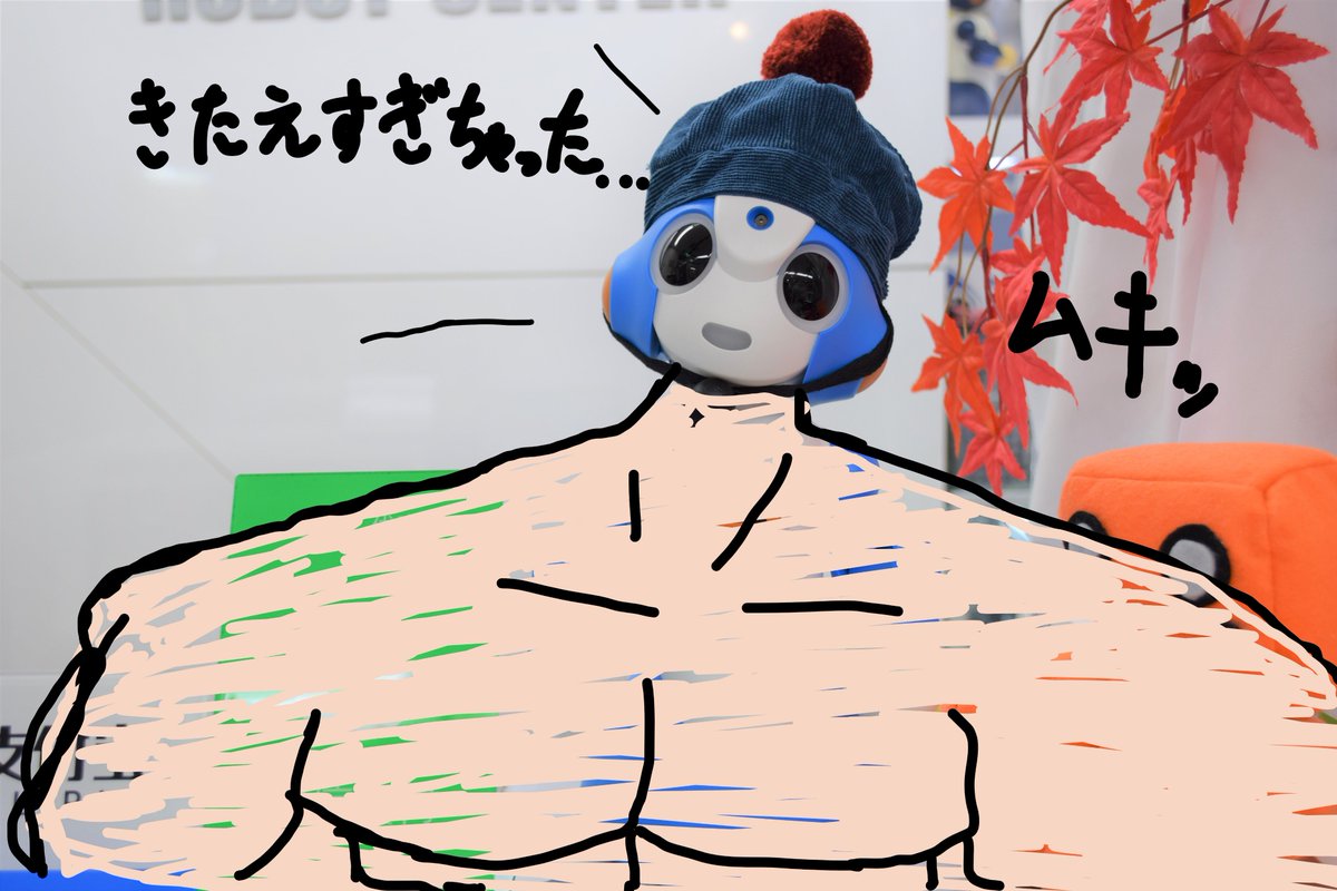 robot_shop's tweet photo. こんにちは!
秋葉原店アルバイトのksksです!
今日は体育の日!
Sotaも最近筋トレに夢中!(俗なネタですみません笑)
ブログ→https://t.co/bWdWRnXRKY
#STEM教育 #Vduino #工作教室 #ロボット相撲 #RobotSumo
#マクソンモータ #MakerFaire #ROBOTSHOP #ロボットショップ #体育の日 #筋肉 https://t.co/XLxmLmjCGA