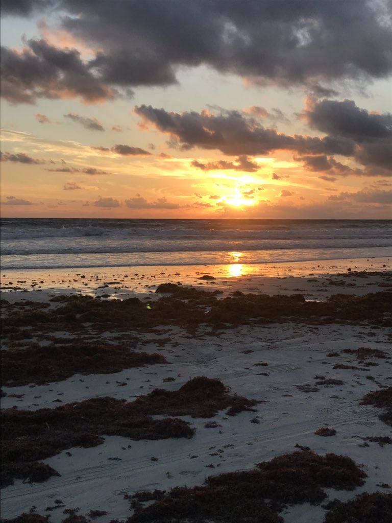FL_Lorax's tweet photo. Sunday Funday on New Smyrna Beach saving sea turtles with the NSB Marine Turtle Conservancy! 💙🐢🌎Remember: please try to skip plastic where you can and dispose of trash appropriately. #dowhatyoulove #letyourpassionsdriveyou #savetheseaturtles #skipplastic https://t.co/u5NerQDFJR