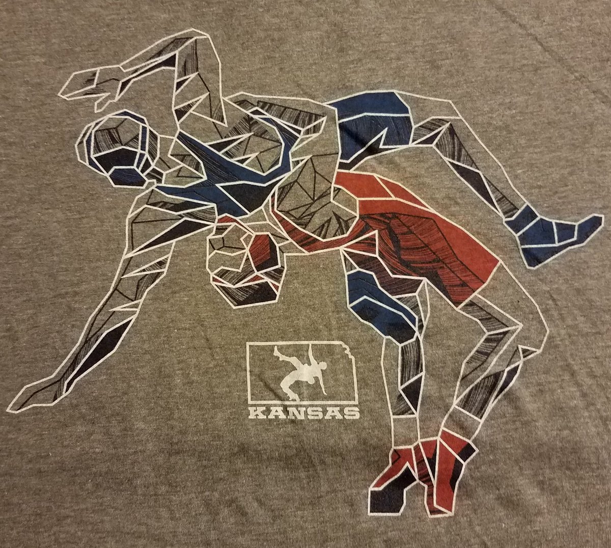 drfhutchinson's tweet image. Breaking News: The 2019 Kansas Kids Folkstyle State Championships will include a girl's division! @USAWrestling @MOKWCKS @salinawrestling @TribeWrestling @KansasWrt24 @WrstleLikeAGirl @bluechiptweets @NWHOF_KS @RobertMGonzale @helen_maroulis @FloWrestling