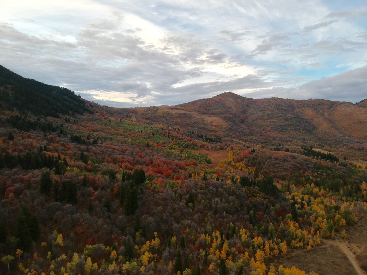 MontesCisco's tweet photo. Fall 18🍂🍁 https://t.co/2MZapw8DtS