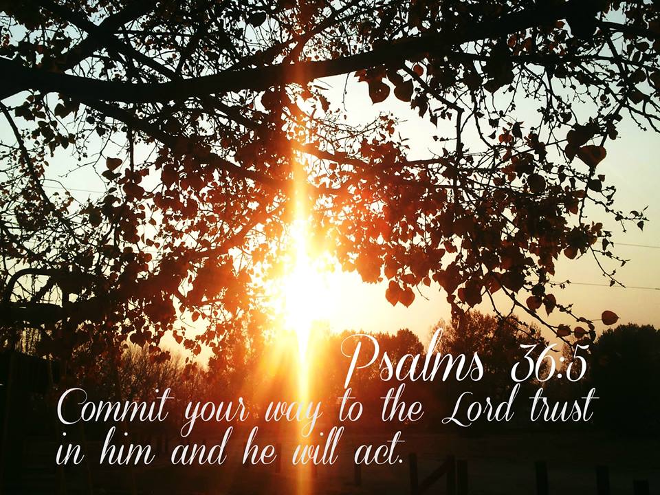 patriciarocks19's tweet photo. When the sun comes up ..Say Amen.. For God Has given you another chance ....pwalker Quote #Amen #pwalker #sun #given https://t.co/WFsSx9XxzP